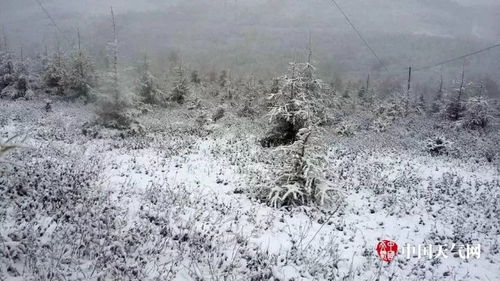 10省将现暴雪或大暴雪，一场全链条的应急大考