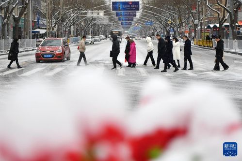 山东迎新一轮雨雪天气，2025年首场大范围降雪拉开序幕