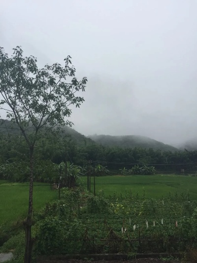义门镇天气预报15天，一场与自然的温柔对话