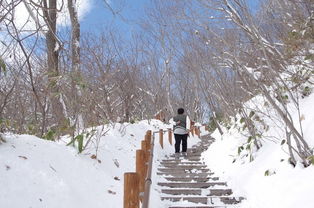 张家口的天气,一场风与雪的四季交响 张家口的天气,一场风与雪的四季交响
