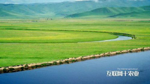 阿鲁科尔沁旗天气预报,草原上的风云变幻与生活指南 阿鲁科尔沁旗天气预报,草原上的风云变幻与生活指南