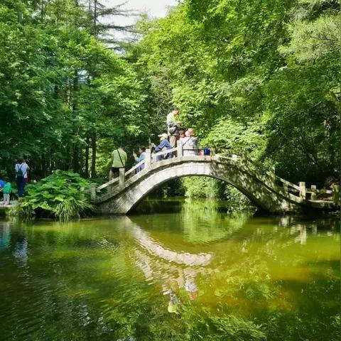 辽宁朝阳未来15天天气展望，气温起伏需留意，春意渐浓待花开