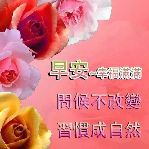 24小时天气速览，今日冷暖波动，出行需备伞
