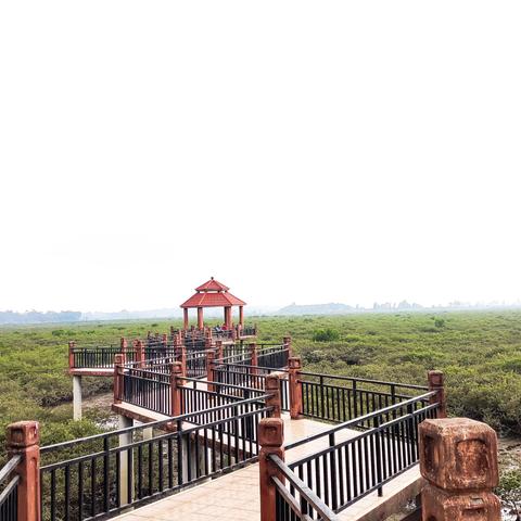 北海天气15天，海岛气候的温柔与变幻
